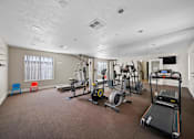 Thumbnail 8 of 21 - A spacious home gym with a variety of exercise equipment.