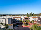 Thumbnail 10 of 75 - A sunny day in a residential area with houses and palm trees.