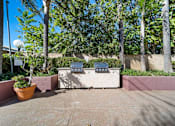 Thumbnail 1 of 75 - A patio with a grill and a potted plant.