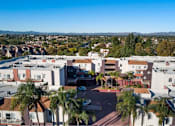 Thumbnail 2 of 75 - A view of a residential area with houses and palm trees.