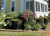 Thumbnail 54 of 65 - 128 Main Street Exterior