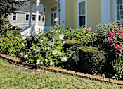 Thumbnail 51 of 65 - 128 Main Street Exterior
