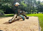 Thumbnail 15 of 25 - Play structure at Pointe