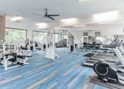Thumbnail 12 of 14 - a gym with cardio machines and weights on a blue and white rug  at Harrison Grande, North Carolina