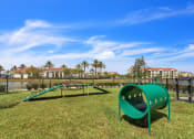 Thumbnail 22 of 29 - dog park at The Atlantic Palms at Tradition, Port St Lucie