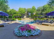 Thumbnail 6 of 14 - Two Sparkling Pools with Sundeck. at Franciscan of Arlington, Arlington, TX