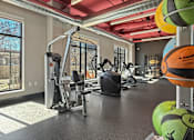Thumbnail 14 of 31 - A gym with a variety of equipment including a treadmill, weights, and exercise balls.