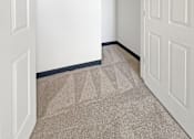 Thumbnail 26 of 34 - A white closet with a grey carpet and a white door.