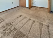 Thumbnail 14 of 16 - A room with a carpet and a closet with a sliding door.