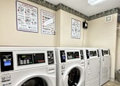 Thumbnail 15 of 16 - A row of front loading washing machines in a public laundromat.