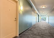 Thumbnail 18 of 20 - A long hallway with carpeted floors and white doors.