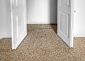 Thumbnail 11 of 40 - A white door is open to a room with a carpeted floor.