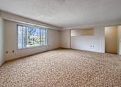 Thumbnail 5 of 40 - A room with a carpeted floor and a window.