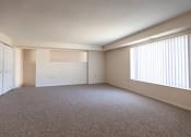 Thumbnail 10 of 30 - living room with carpet, view of closet and windows