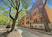 Thumbnail 3 of 15 - A tree with a no parking sign in front of a building.
