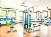 Thumbnail 28 of 40 - a gym with a lot of exercise equipment and a mural on the wall