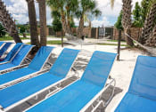 Thumbnail 25 of 40 - a row of blue chaise lounges on the beach with palm trees in the background