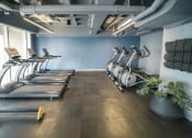 Thumbnail 12 of 26 - a row of treadmills in a gym with a wall of windows