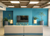 Thumbnail 16 of 31 - a living room with a blue wall and a couch and a television