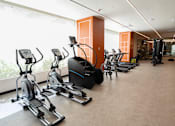 Thumbnail 5 of 7 - A gym with treadmills and elliptical machines.