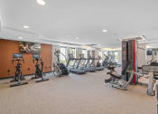 Thumbnail 6 of 59 - a room filled with lots of different types of exercise equipment