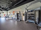 Thumbnail 46 of 63 - a gym with weights and weights on the wall and a punching bag on the floor