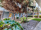 Thumbnail 28 of 30 - A pathway at University Square Apartments, Davis, 95616