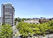 Thumbnail 10 of 32 - A tall building with many windows is surrounded by trees.