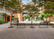 Thumbnail 3 of 12 - A courtyard with two benches and trees at Pin Yuen, Sacramento