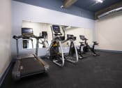 Thumbnail 3 of 28 - a group of exercise bikes in a gym
