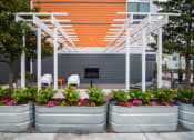 Thumbnail 15 of 25 - Patio