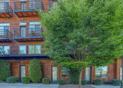 Thumbnail 1 of 10 - a tree in front of a brick apartment building