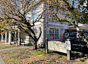 Thumbnail 2 of 5 - A tree with no leaves stands in front of a house.