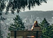 Thumbnail 3 of 10 - A person is sitting on a bench looking at a cityscape.