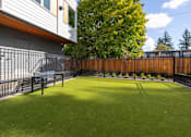 Thumbnail 9 of 38 - A backyard with a green lawn and a wooden fence.