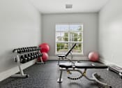 Thumbnail 29 of 38 - Home Gym at New Britain, Pennsylvania