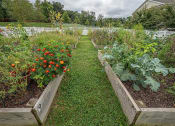 Thumbnail 8 of 18 - Courtyard Garden at New Britain, Chalfont