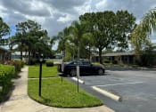 Thumbnail 12 of 21 - a car parked in a parking lot with palm trees