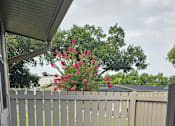 Thumbnail 2 of 33 - A concrete patio with a white fence and a red flowering bush in the background.