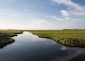 Thumbnail 13 of 19 - A river flows through a grassy wetland.