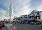 Thumbnail 18 of 19 - A local boardwalk