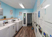 Thumbnail 24 of 35 - A laundromat with washers and dryers lined up.