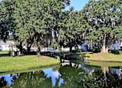 Thumbnail 38 of 42 - A pond in a park with a tree with hanging moss.