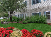 Thumbnail 6 of 57 - the front yard of a house with green grass and flowers