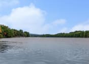 Thumbnail 12 of 57 - a body of water with trees on the other side of it