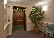 Thumbnail 37 of 57 - a room with a plant and an open door