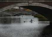 Thumbnail 8 of 14 - a rower on the allegheny river