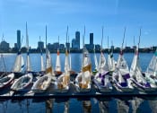Thumbnail 9 of 14 - a row of sailboats docked in a harbor with the boston skyline in the background
