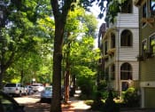 Thumbnail 14 of 14 - a tree lined street in the beacon hill section of boston