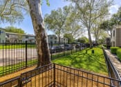 Thumbnail 23 of 23 - the preserve at ballantyne commons yard with fence and grass
